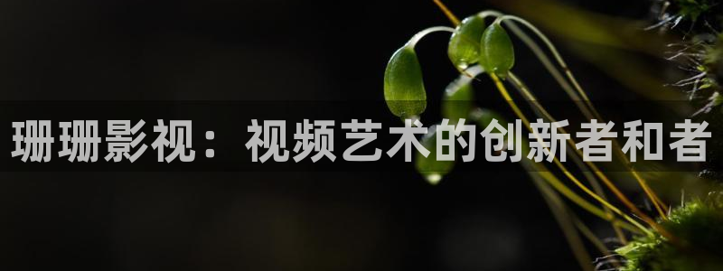 神马手机影院666888：珊珊影视：视频艺术的创新者和者