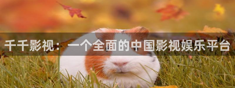 168影院免费观看电视剧大全：千千影视：一个全面的中国影视娱乐平台