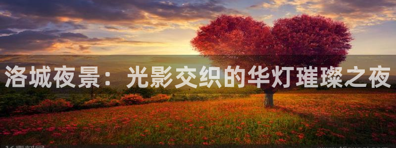 168私人免费影院：洛城夜景：光影交织的华灯璀璨之夜
