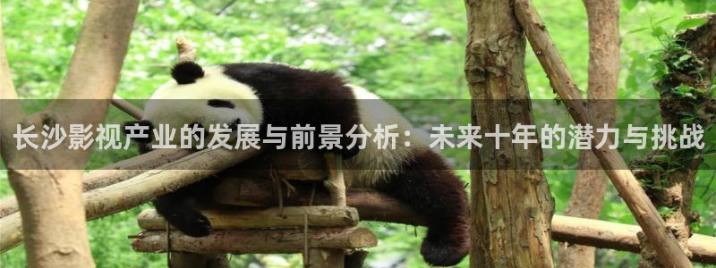 68影视：长沙影视产业的发展与前景分析：未来十年的潜力与挑战