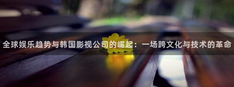 浮力影院520968：全球娱乐趋势与韩国影视公司的崛起：一场跨文化与技术的革命
