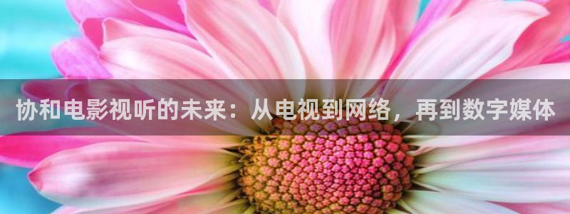 68影院最新上映电影：协和电影视听的未来：从电视到网络，再到数字媒体