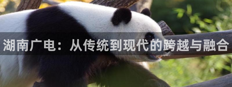 yy4680私人影院：湖南广电：从传统到现代的跨越与融合