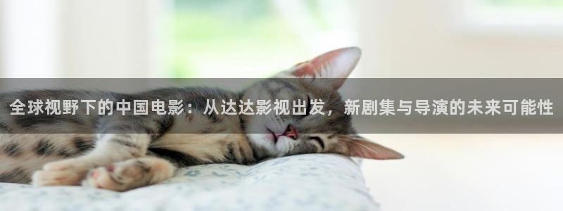 神秘电影188684.com：全球视野下的中国电影：从达达影视出发，新剧集与导演的未来可能性