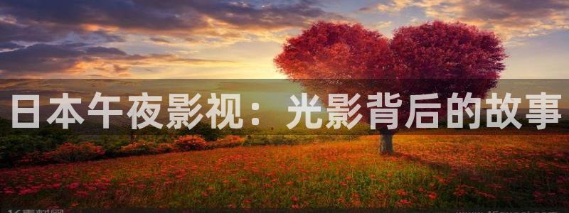 四虎影视1668：日本午夜影视：光影背后的故事