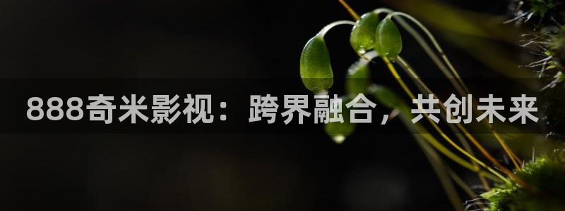 6688电影电视剧免费观看爱看影院：888奇米影视：跨界融合，共创未来