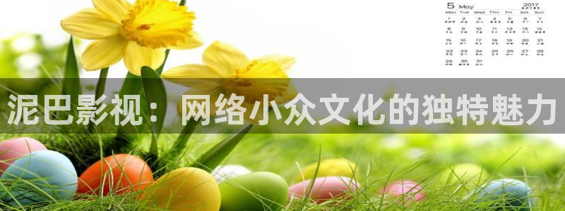 68影院.：泥巴影视：网络小众文化的独特魅力